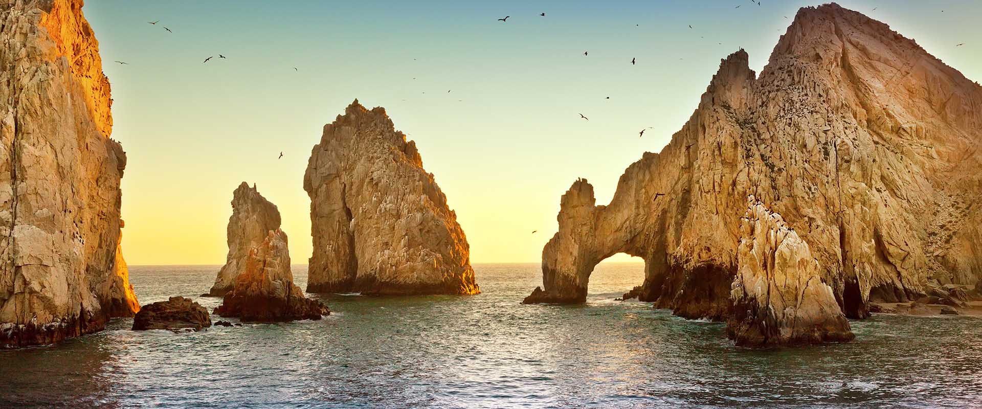 Baja California Cruises
