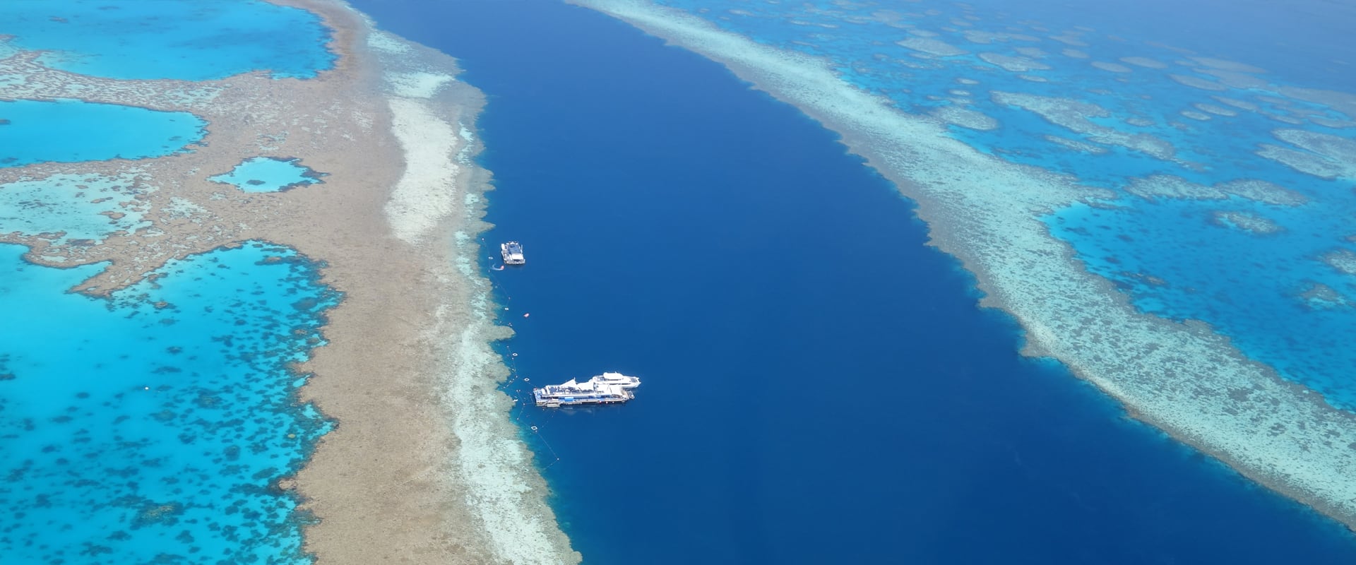 Tauchsafari Outer Great Barrier Reef
