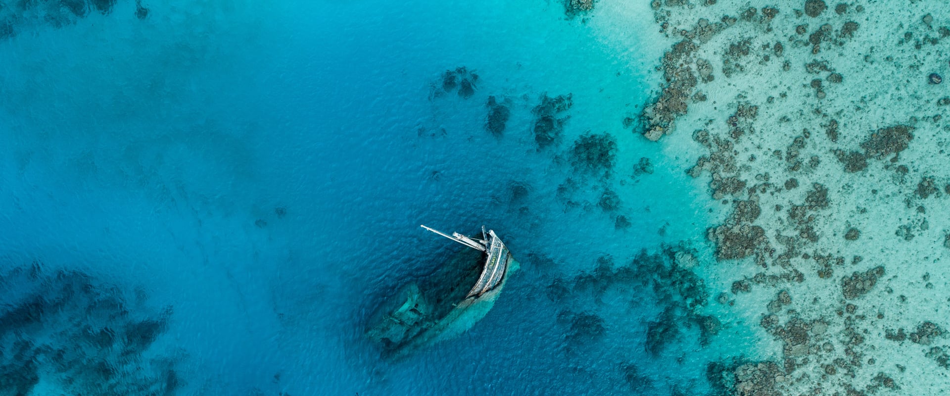 Croisières de Plongée dans l'atoll d'Ari