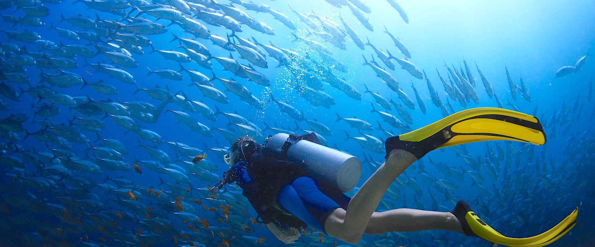Jessie Beazley Reef Liveaboard Diving