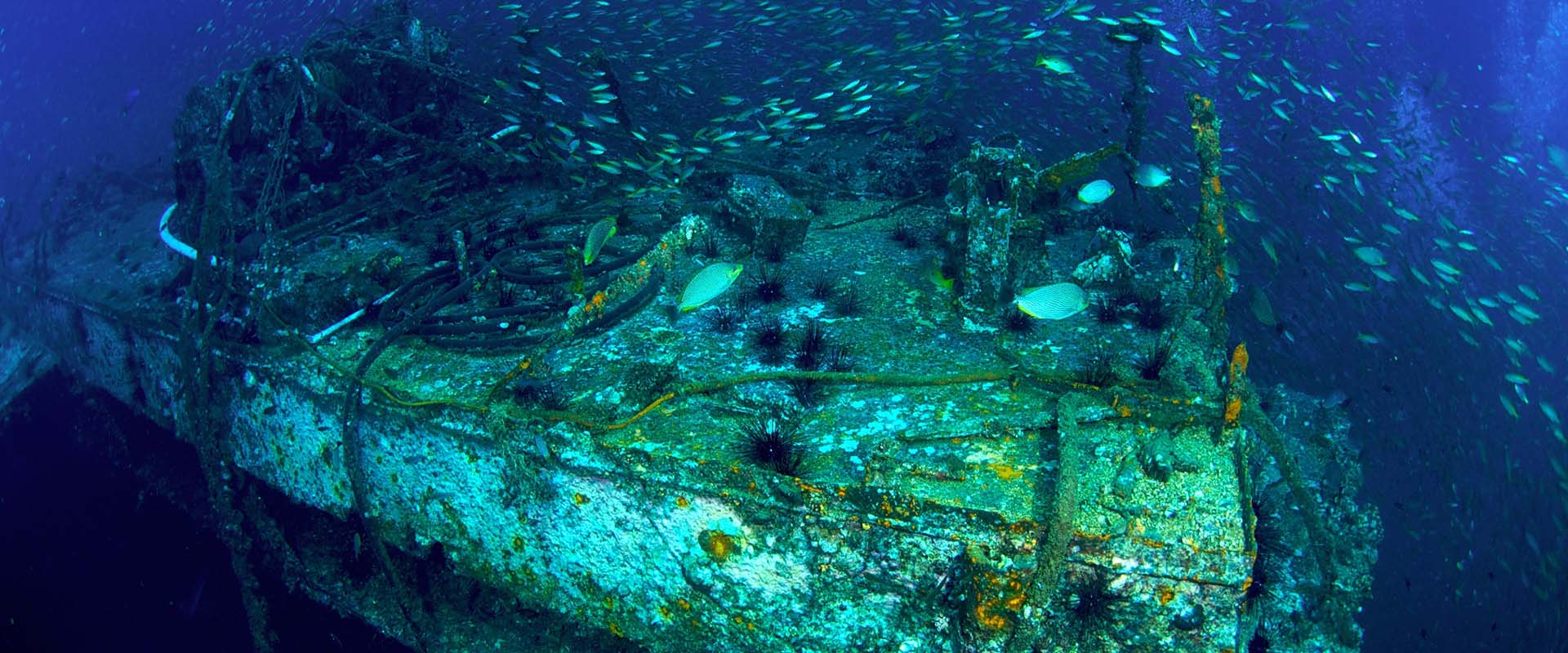 Tauchsafari King Cruiser Wreck
