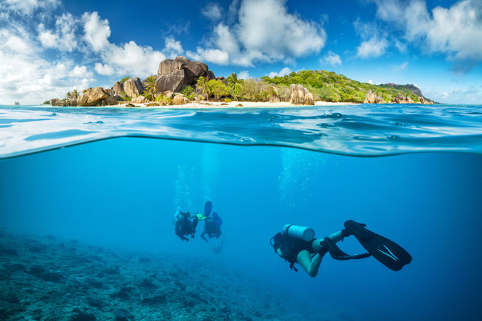 Partial underwater shot with divers