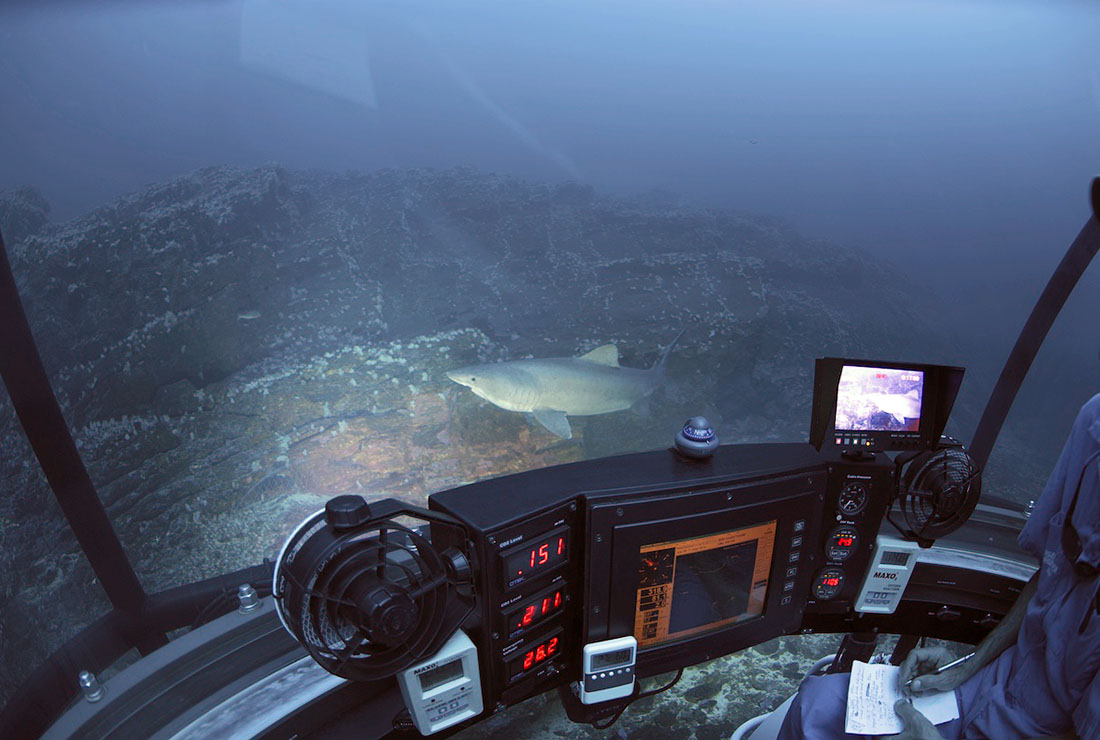 Underwater shot while in submersible