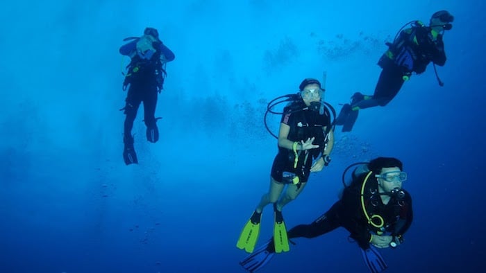 Plongée dérivante aux Maldives