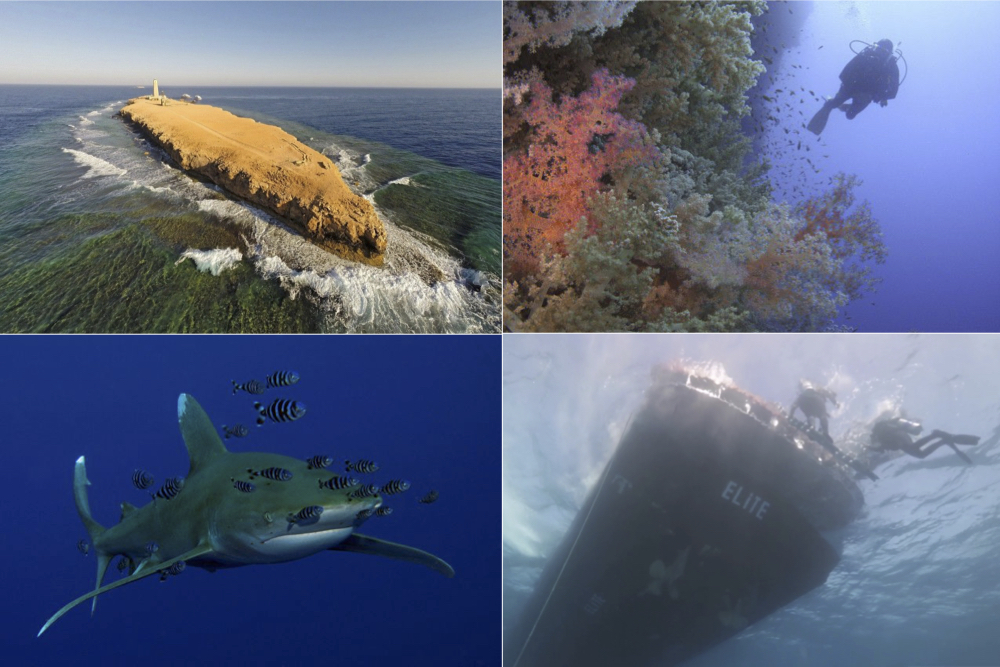 Drift Diving in the Red Sea