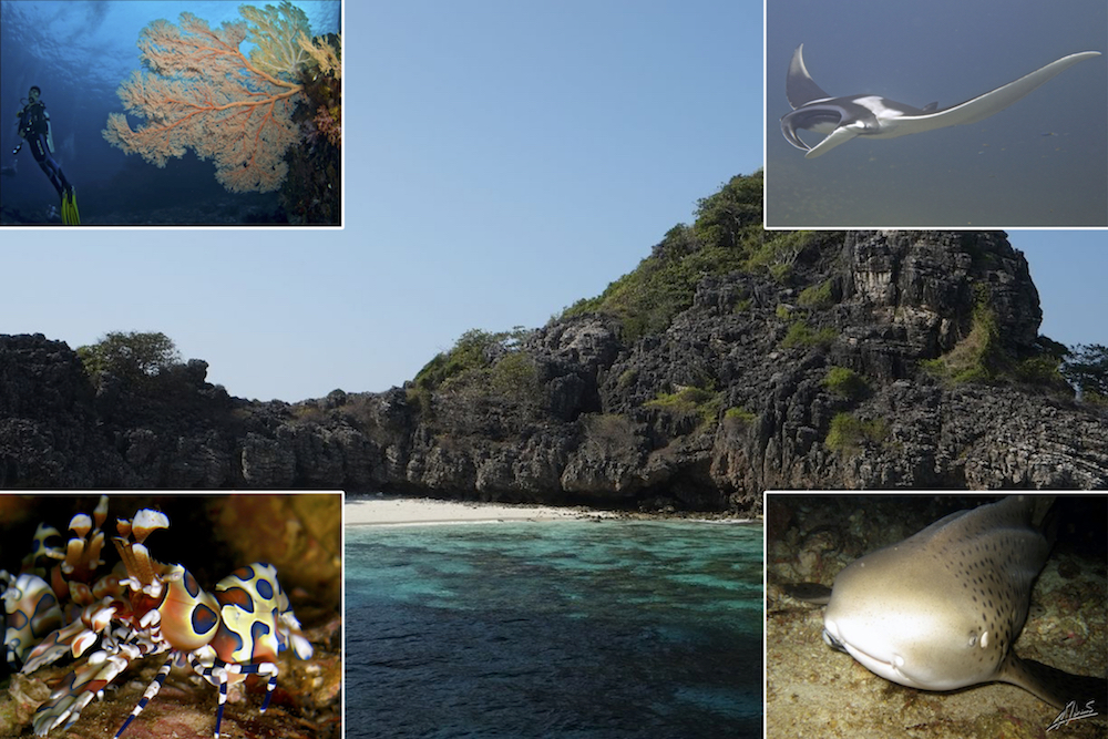 Diving the Andaman Sea