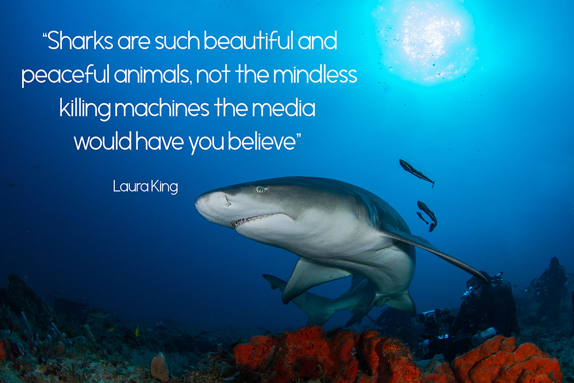 Photo of shark with quote