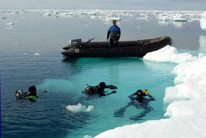 Ice diving in the polar regions