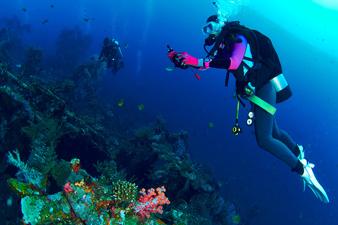 Diver swimming around coral