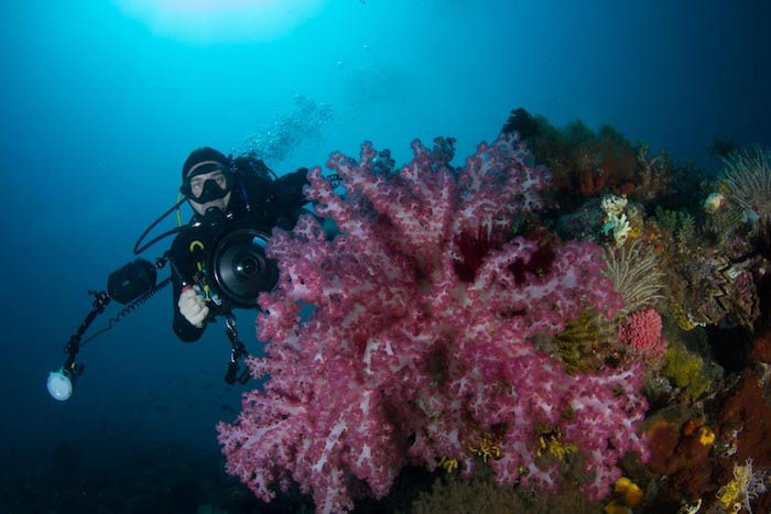 Diver and Camera - Raja Ampat