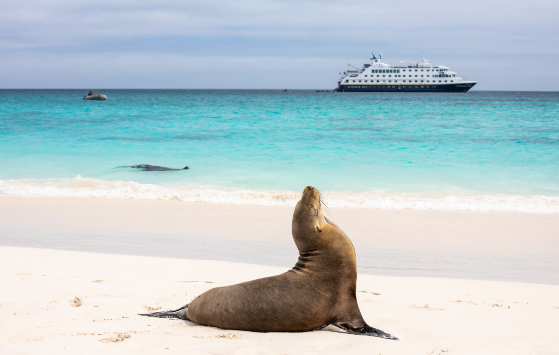 Galapagos-strand met zeeleeuw en schip op achtergrond