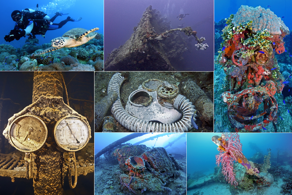 Micronesia Underwater