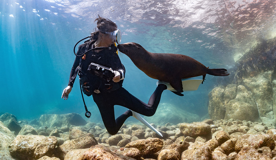 Diving with Sea Lions in Baja California
