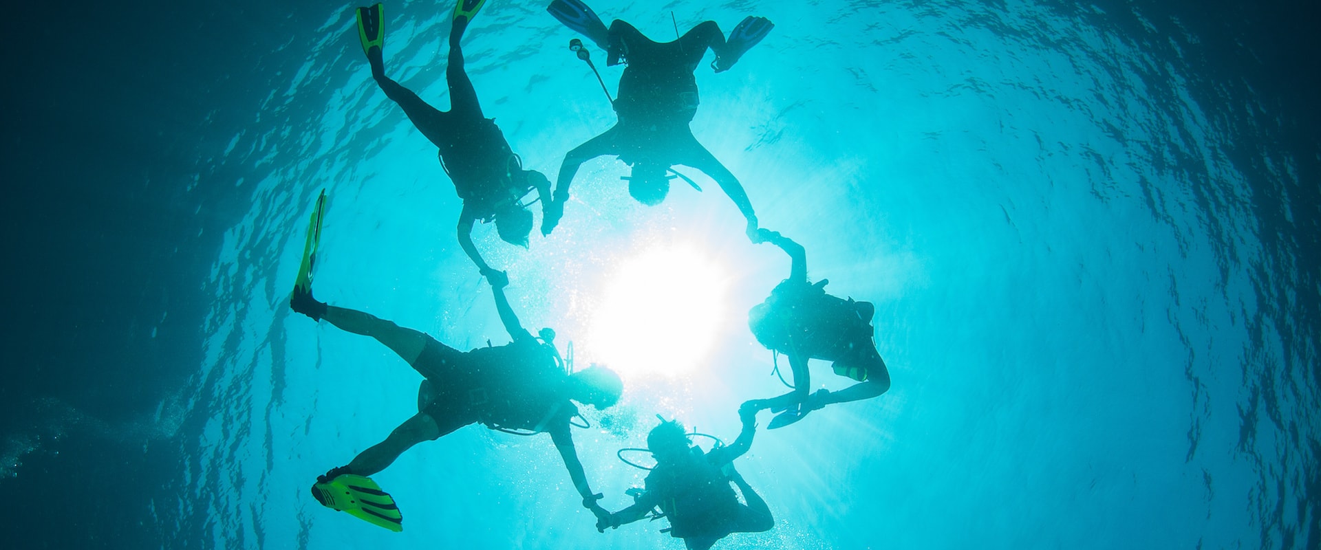 Soci ed Affiliati: guadagna promuovendo crociere subacquee
