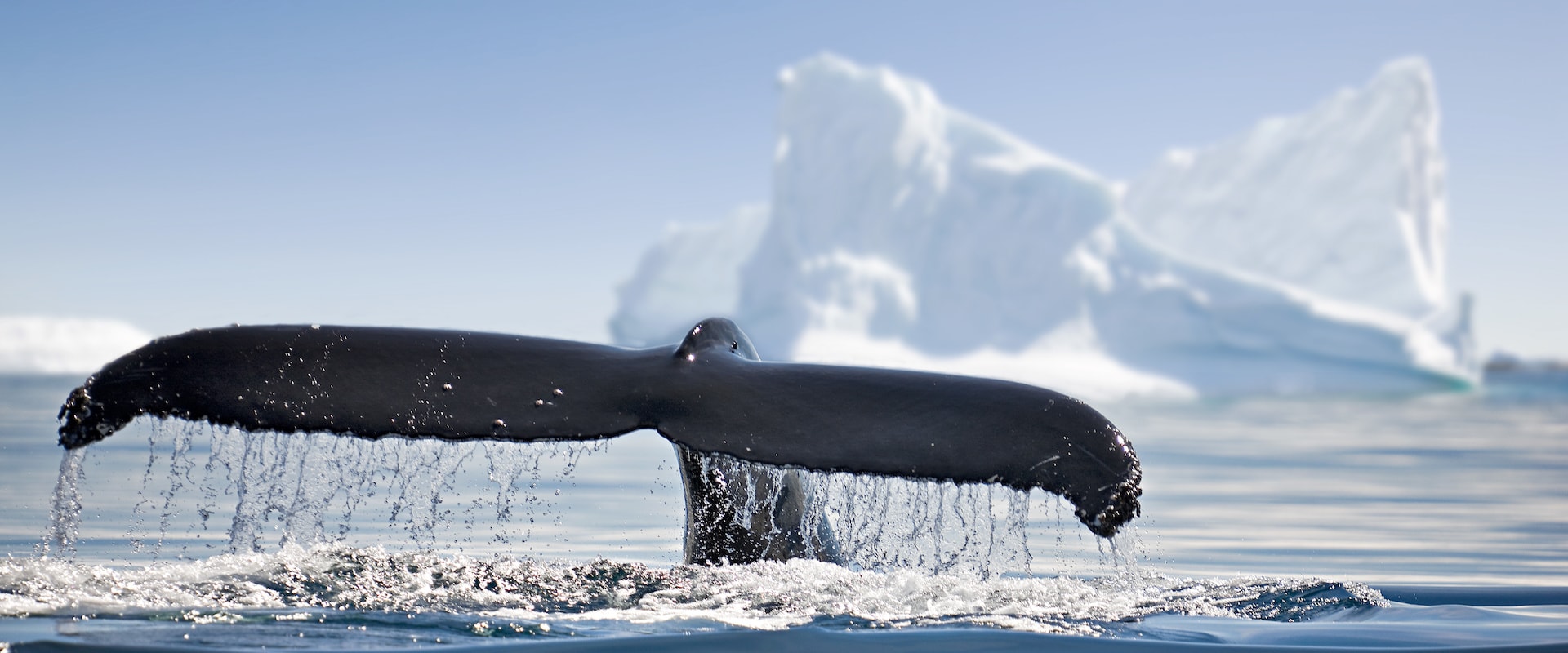 16 Kreuzfahrten auf Kleinen Schiffen - Alaska - LiveAboard.com