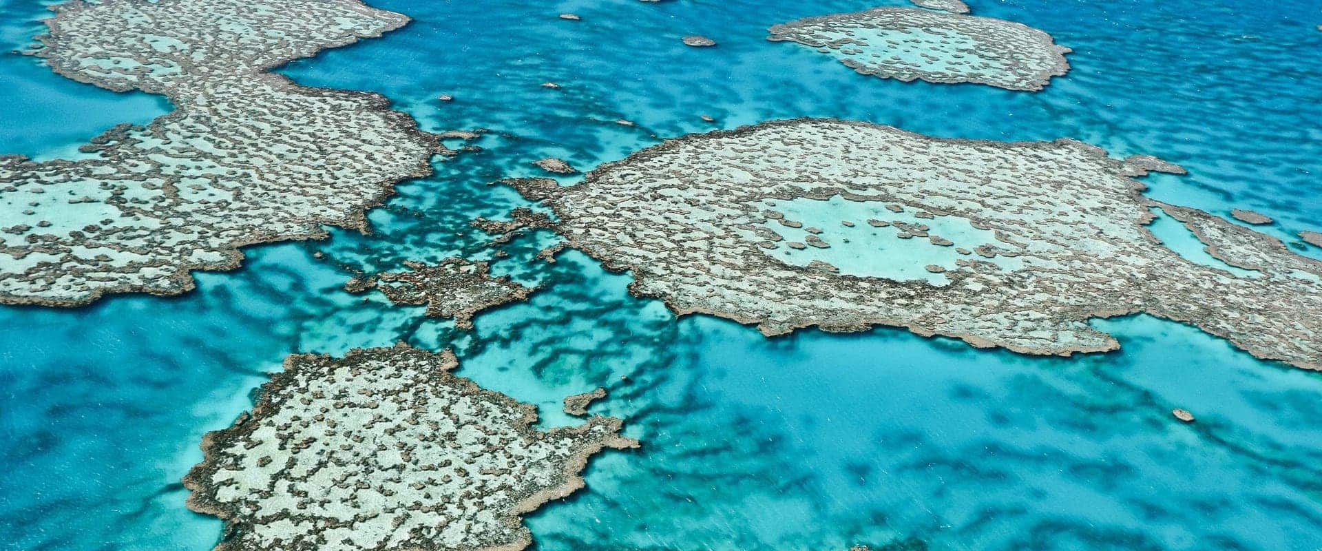 Snorkelen in het Great Barrier Reef