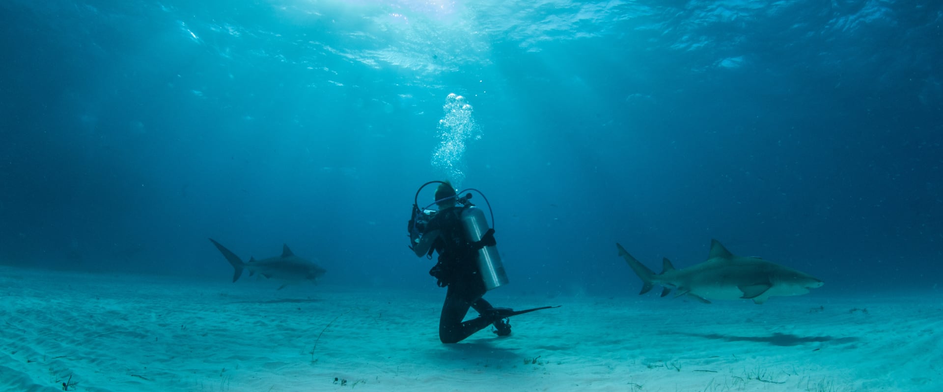 Exuma Cays Liveaboard Diving