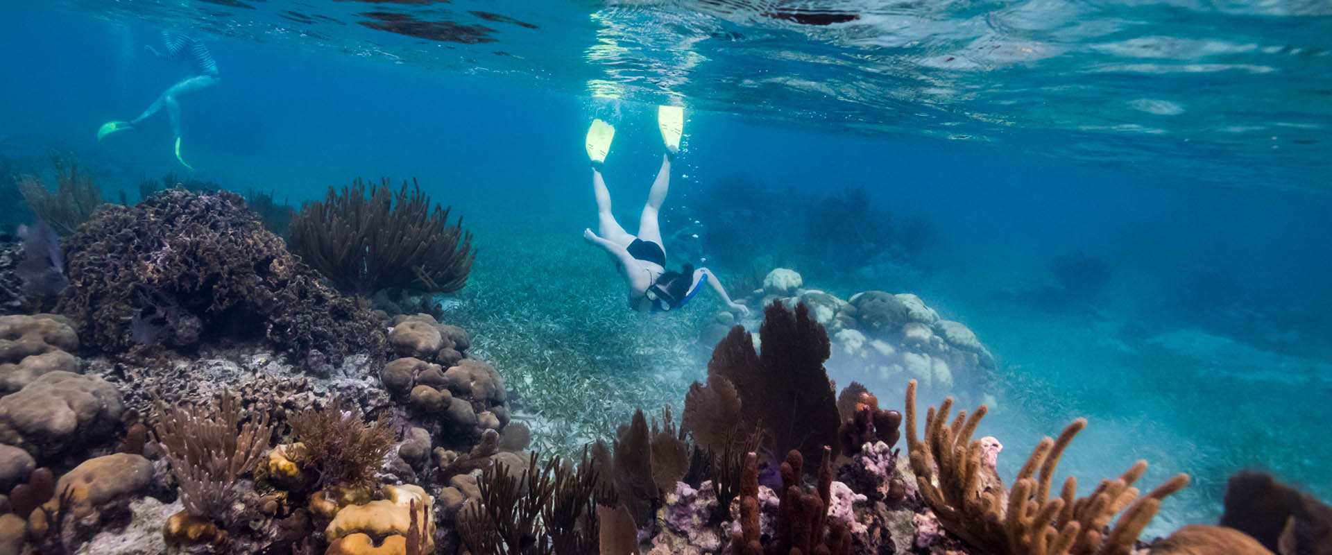 Turneffe Reef Liveaboard diving