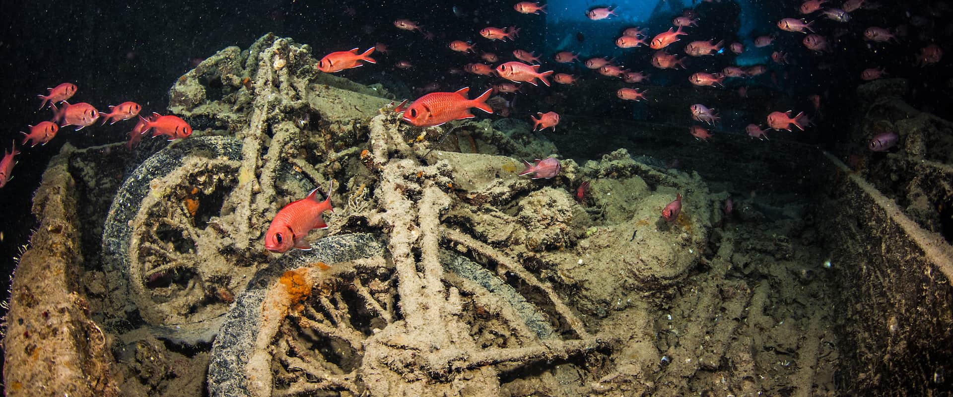 Croisière plongée au Thistlegorm