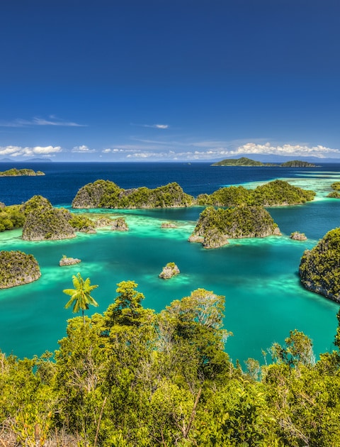 65 Liveaboards In Raja Ampat, Indonesia - LiveAboard.com