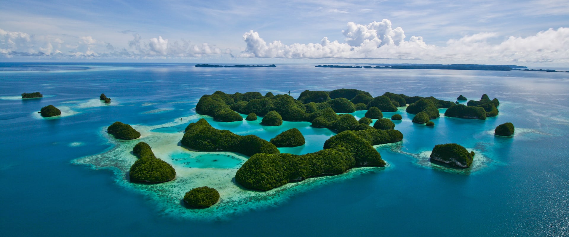 Cruzeiros de Mergulho em Palau