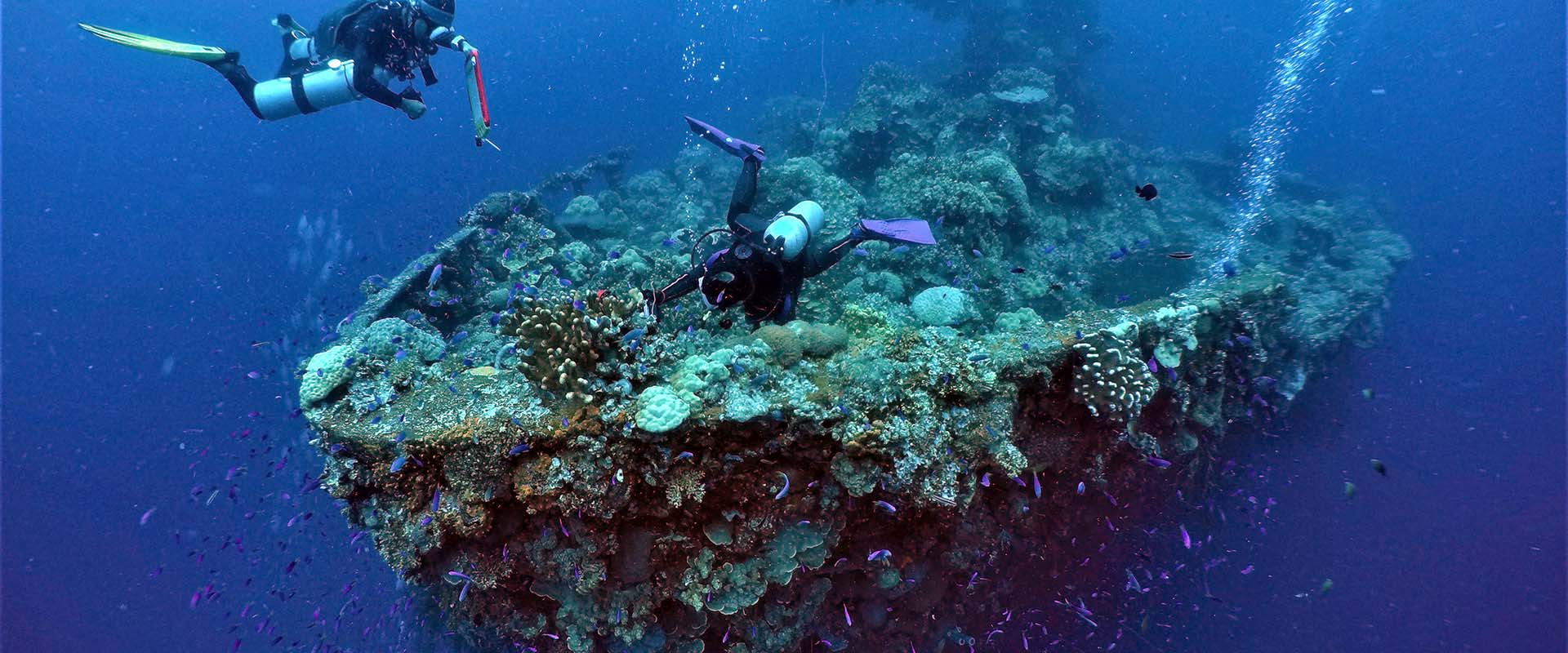 Fujikawa Maru Liveaboard Diving