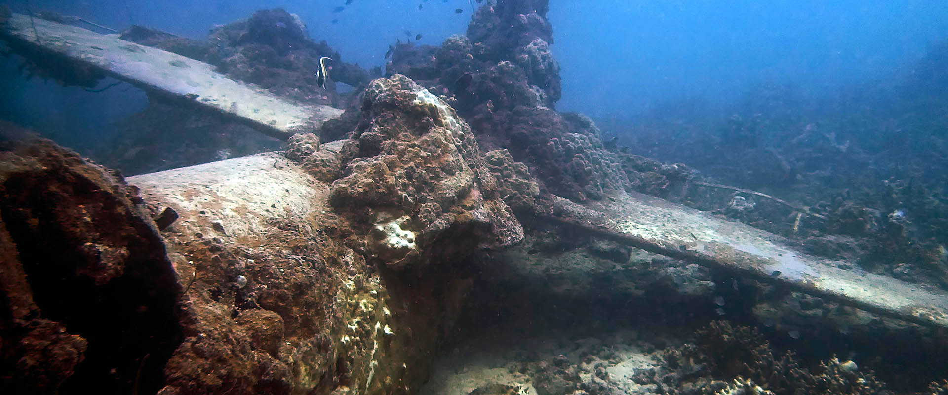 Cruzeiros de mergulho em Truk Lagoon