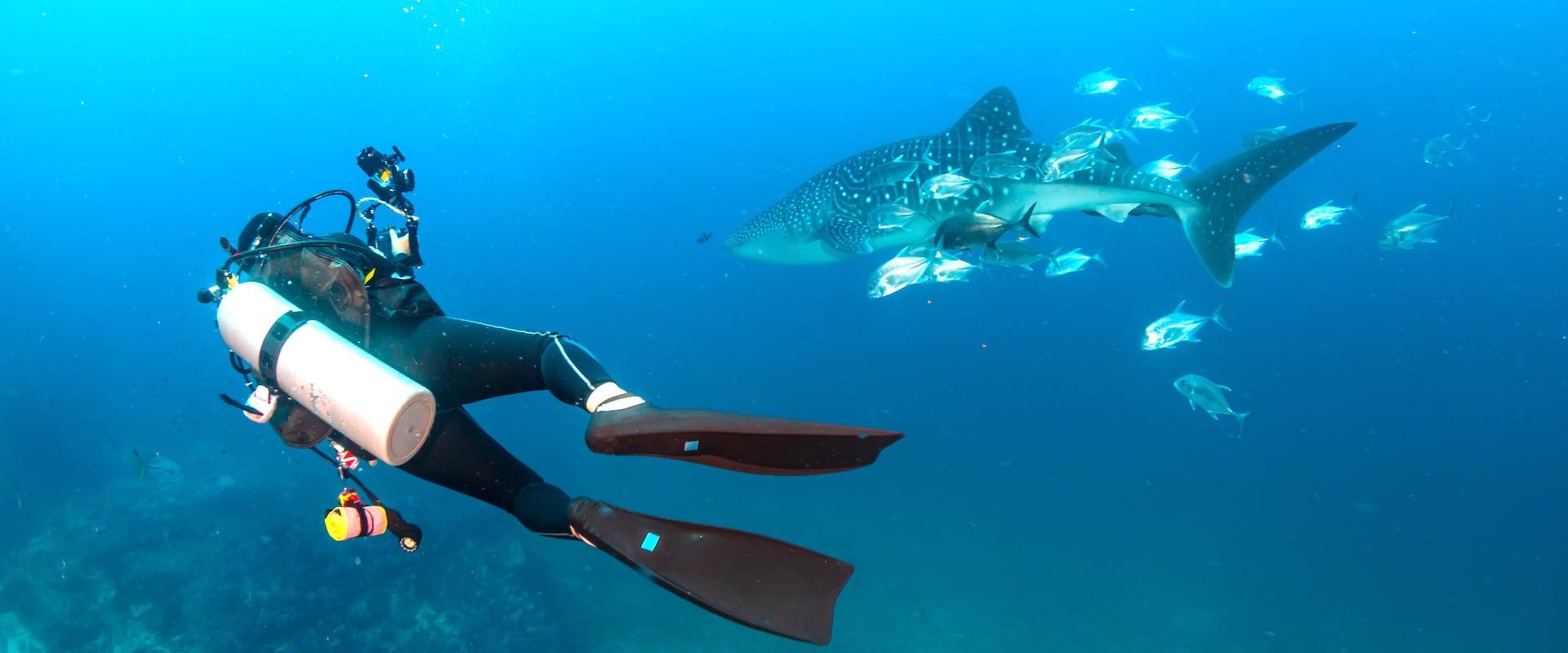 Richelieu Rock Liveaboard Diving