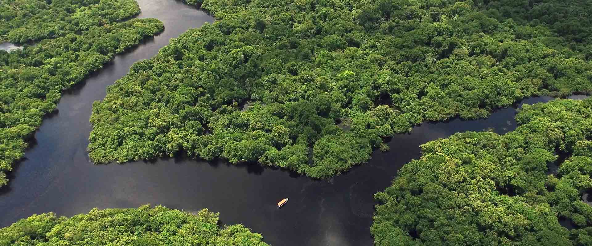 River Cruises in the Amazon River