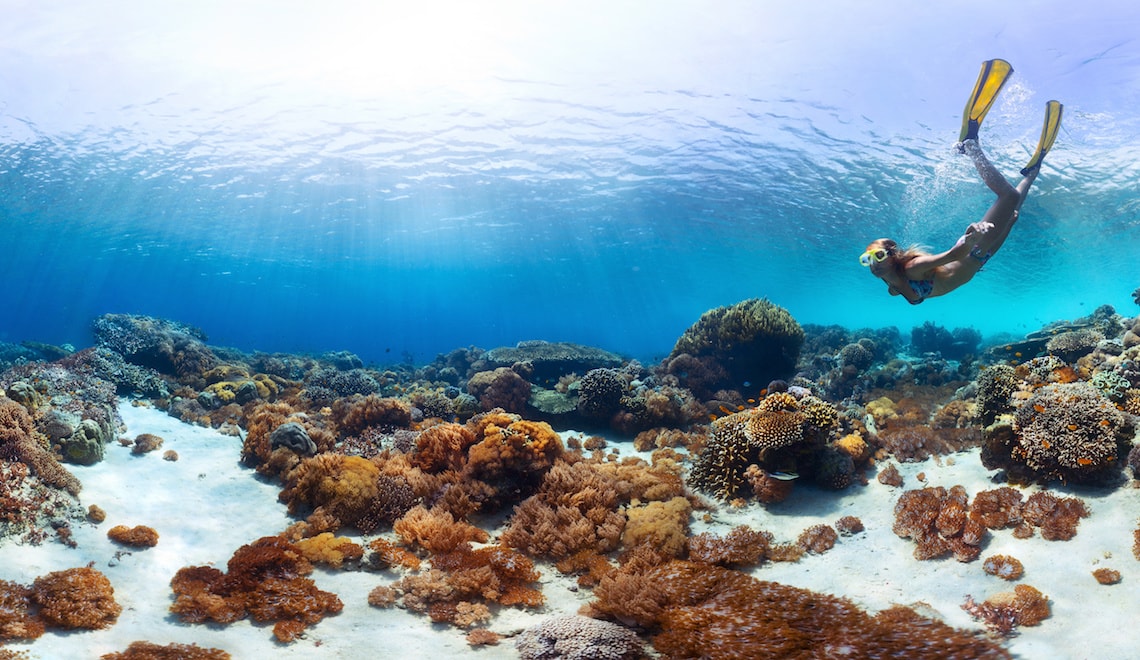 Best Places in the World to Snorkel