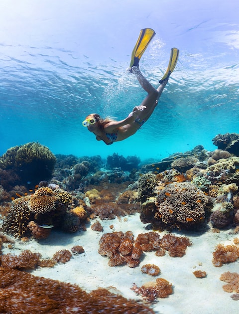 Best Places In The World To Snorkel