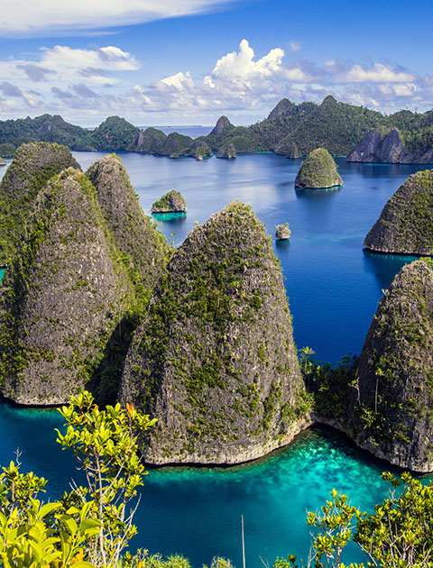 Sma 1 Raja Ampat