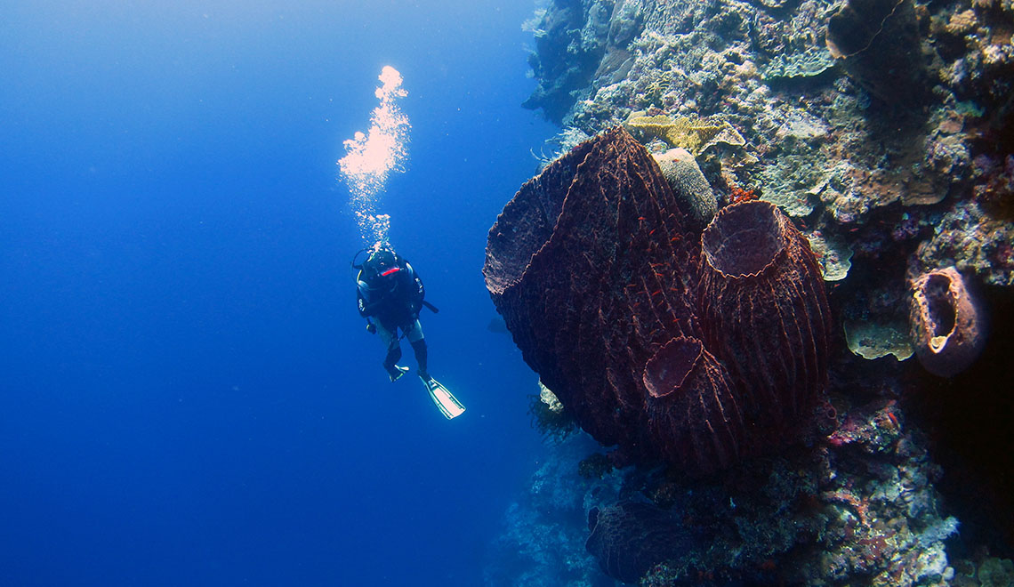 50 Liveaboards in Banda Sea, Indonesia - LiveAboard.com