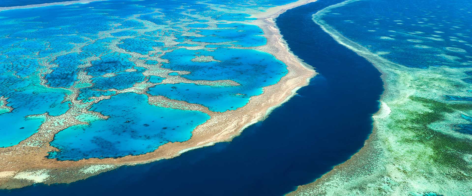 Great Barrier Reef Adventure Cruises