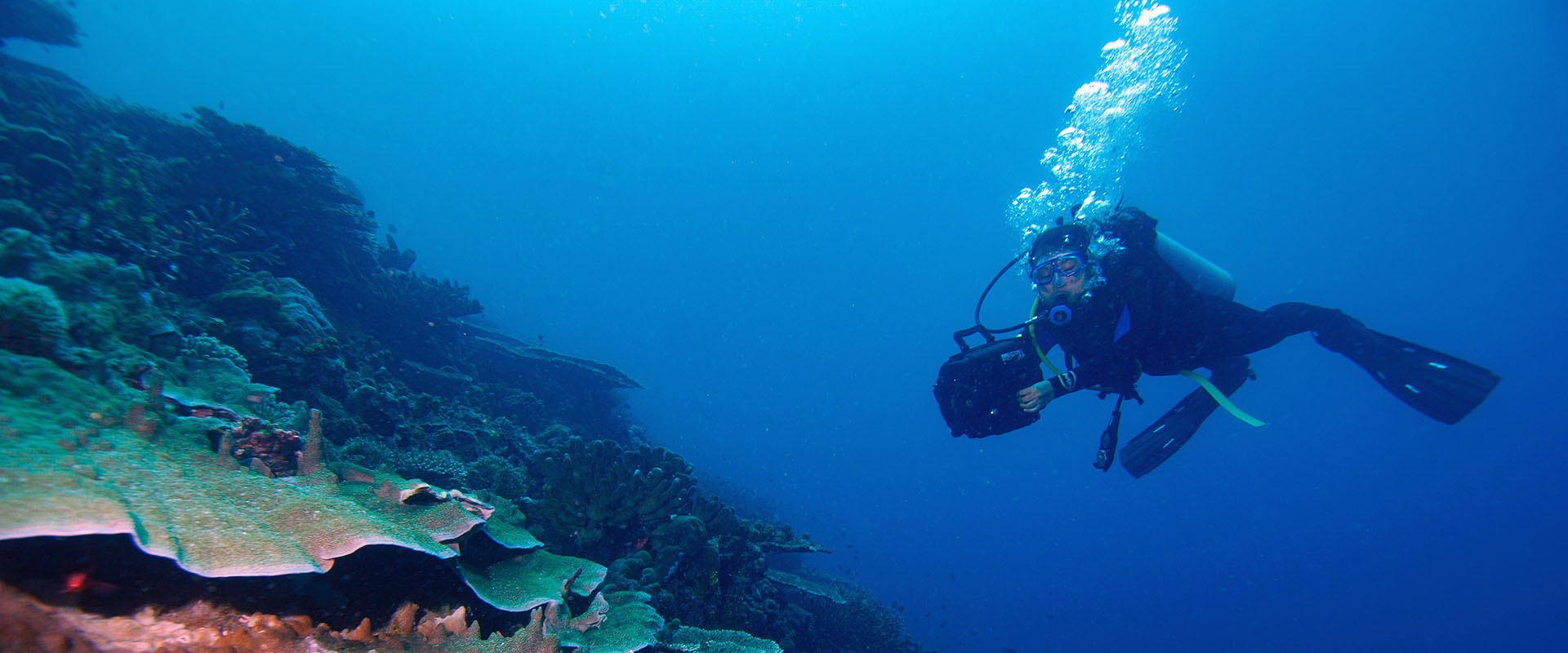 Halmahera Liveaboard Diving