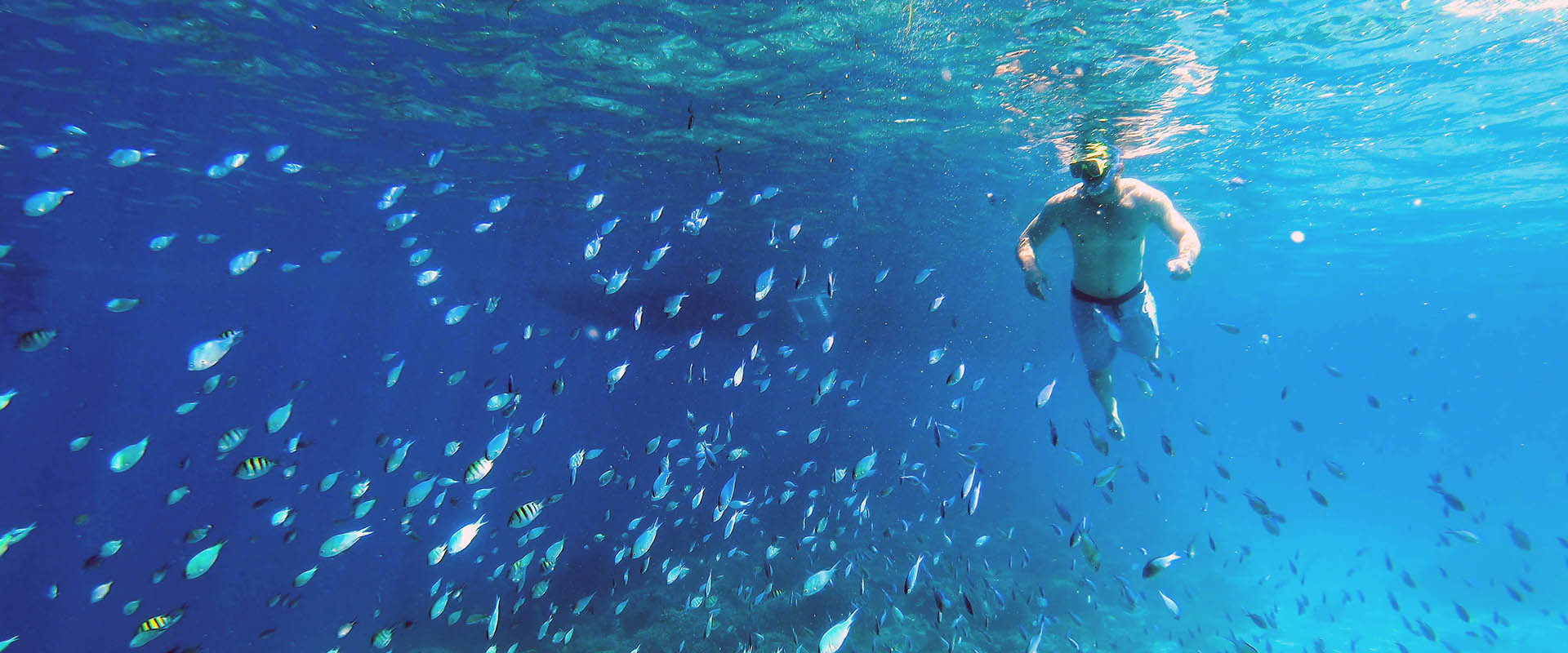 Cruzeiros de mergulho em Cebu