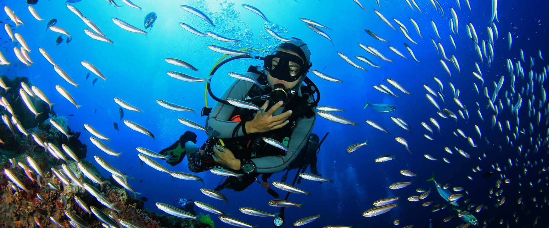 Monad Shoal Liveaboard Diving