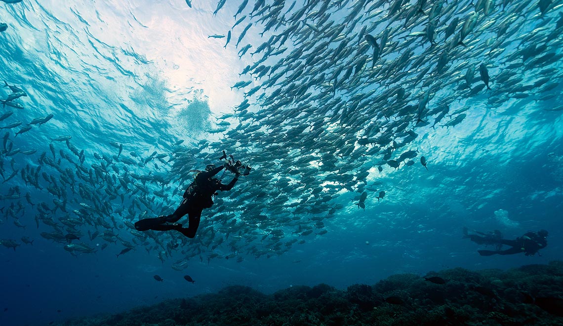 6 Liveaboards In Sulu Sea Philippines LiveAboard Com   Philippines  Sulu Sea Lg 